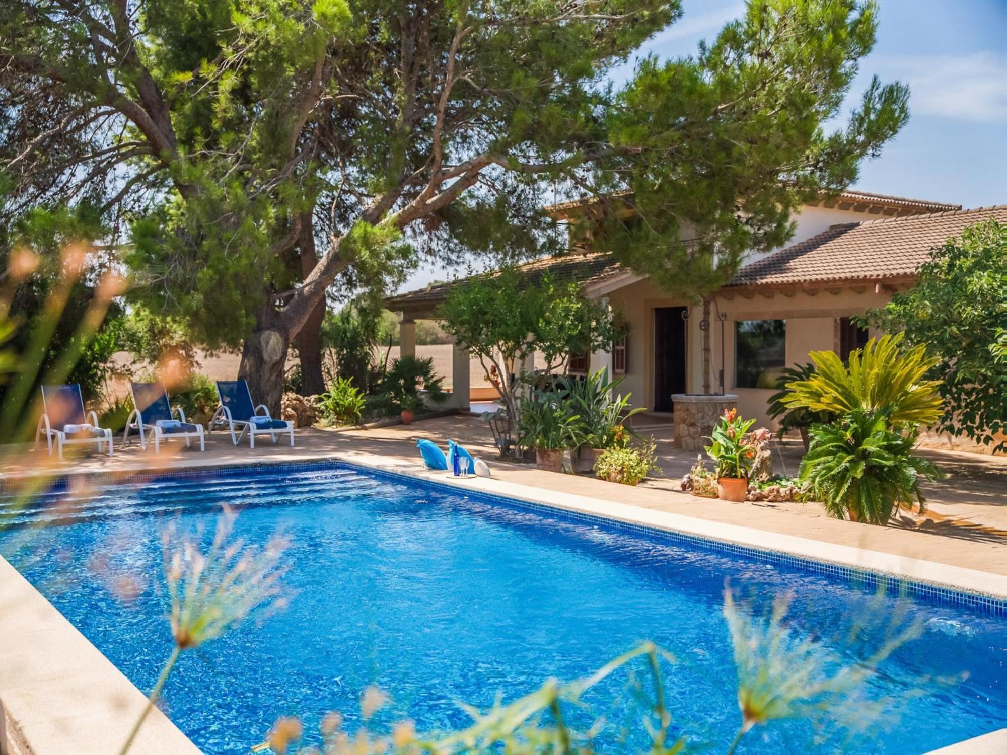Ferienhaus Near Picafort Can Picafort (Mallorca)