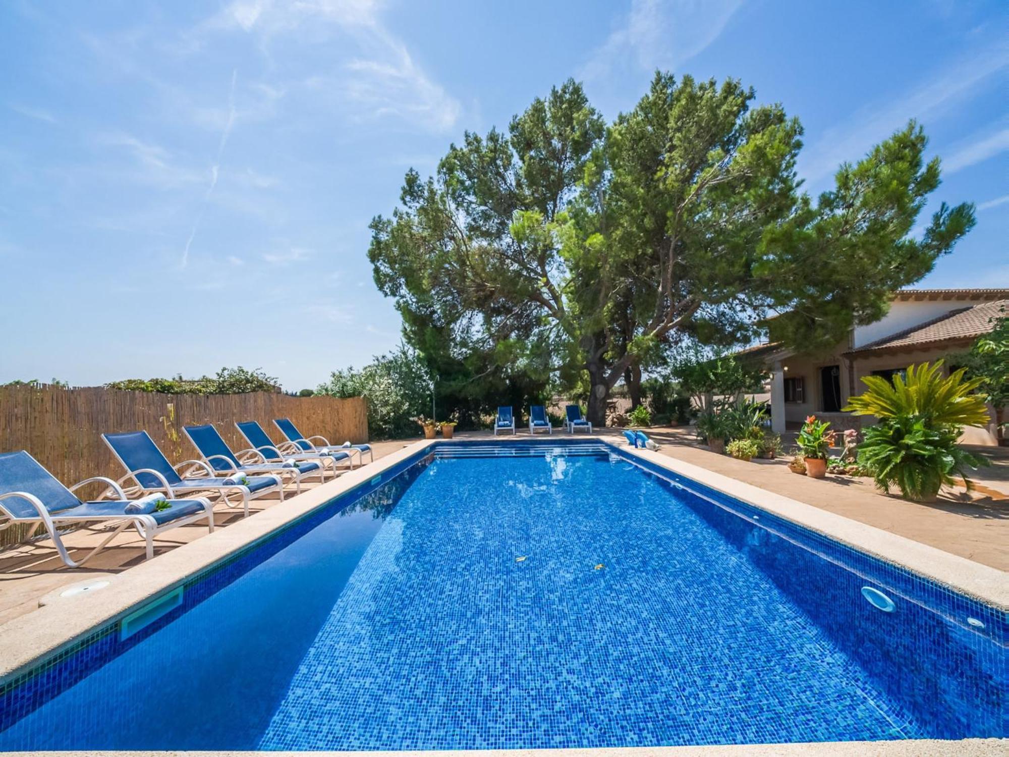 Holiday home Near Picafort *